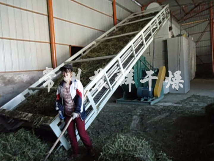 高檔飼料牧草烘干機(jī)，貓尾草專用烘干機(jī)