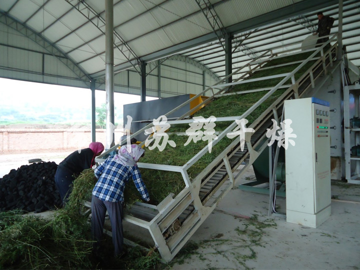 寵物牧草烘干機(jī)，高檔牧草烘干機(jī)，馬場專用牧草烘干機(jī)